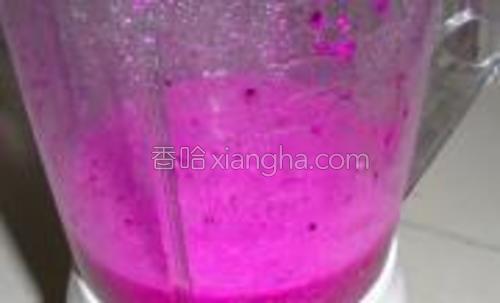 火龙果雪酪球的做法大全【图】_火龙果雪酪球