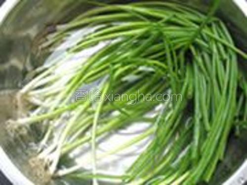 葱烧鲫鱼的做法大全【图】_葱烧鲫鱼的家常做