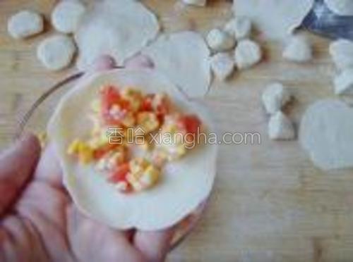 番茄鸡蛋饺子的做法大全【图】_番茄鸡蛋饺子