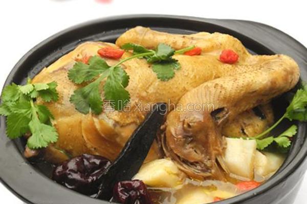 紫灵芝炖鸡的做法_紫灵芝炖鸡的做法大全_紫