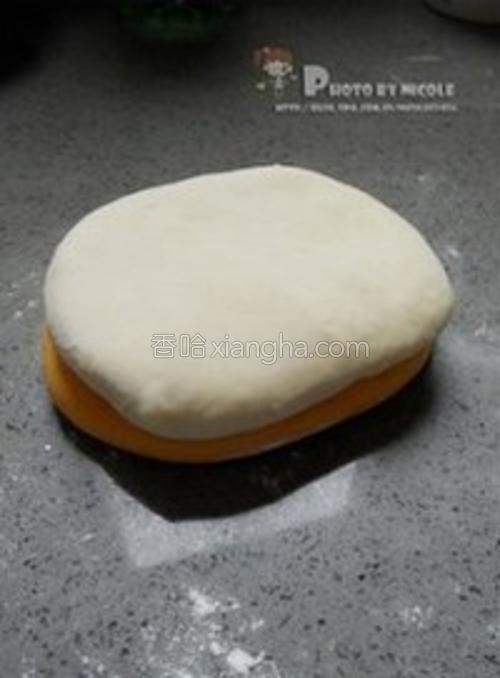 胡萝卜汁双色馒头的做法大全【图】_胡萝卜汁