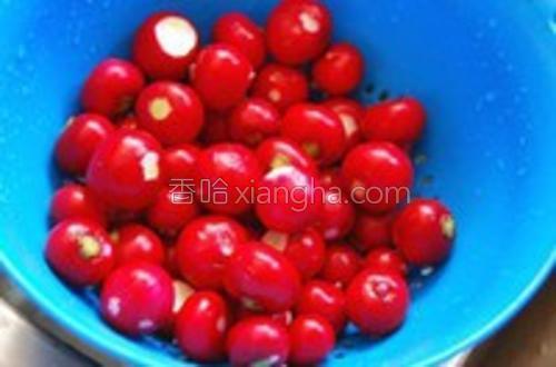 糖醋樱桃小萝卜的做法大全【图】_糖醋樱桃小