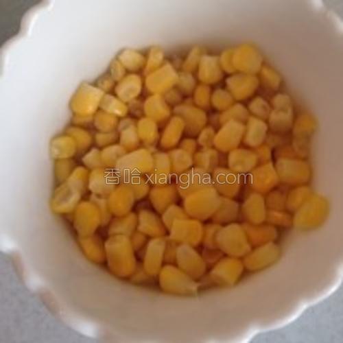 虾皮冬瓜汤烩饭的做法大全【图】_虾皮冬瓜汤