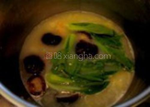 简单夜宵鲜虾云吞面的做法大全【图】_简单夜