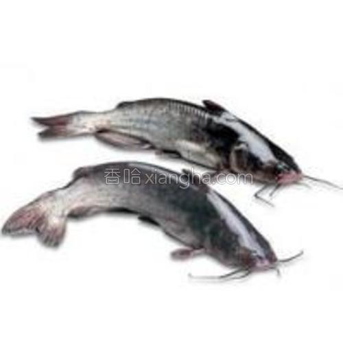 钳鱼唇南瓜盅的做法大全