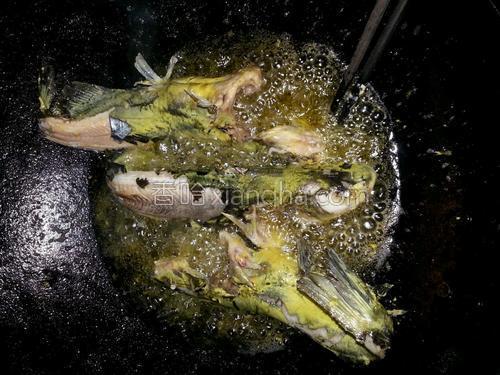 黄辣丁煮豆腐的做法大全【图】_黄辣丁煮豆腐