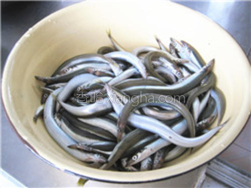 酥炸多春鱼的做法大全【图】_酥炸多春鱼的家