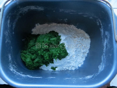 油泼辣椒菠菜面的做法大全【图】_油泼辣椒菠