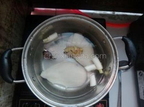 鸡肉茴香烂饭的做法大全【图】_鸡肉茴香烂饭