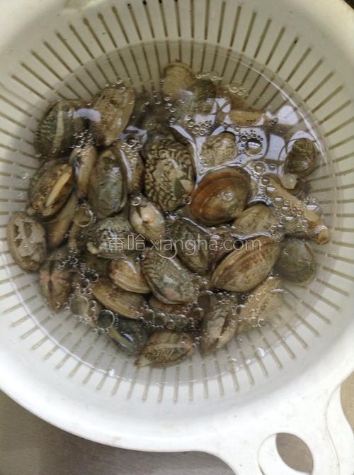 咖喱香爆花蛤的做法大全