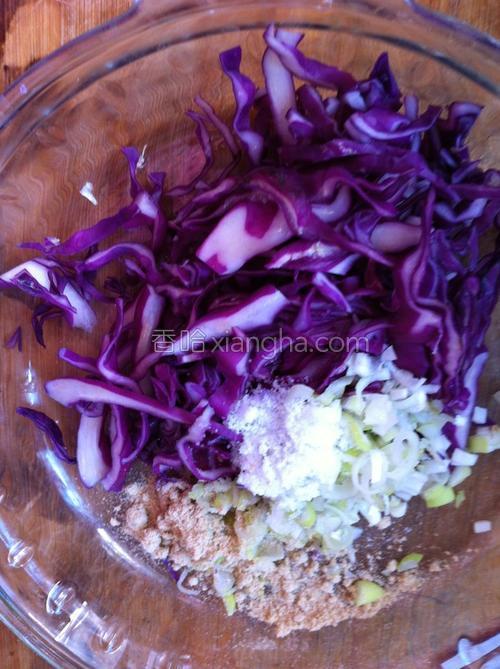 紫甘蓝鸡蛋饼的做法大全【图】_紫甘蓝鸡蛋饼