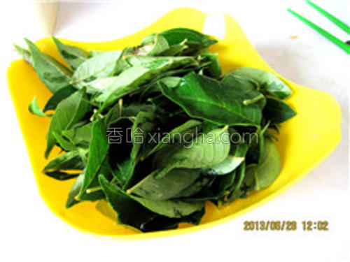 面酱炒花椒叶的做法大全【图】_面酱炒花椒叶