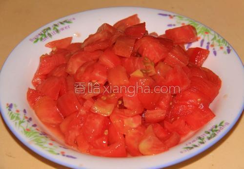 番茄炖排骨汤的做法大全【图】_番茄炖排骨汤