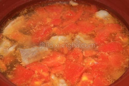 番茄炖排骨汤的做法大全【图】_番茄炖排骨汤