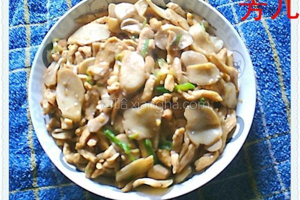 家常杏鲍菇炒鸡肉的做法_家常杏鲍菇炒鸡肉的