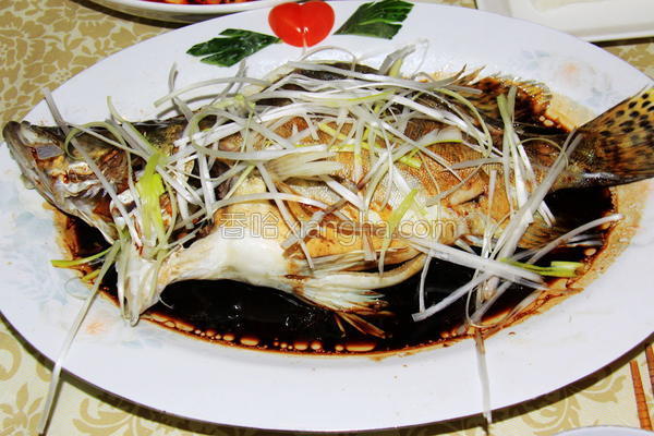 清蒸鳜鱼的做法_清蒸鳜鱼的做法大全_清蒸鳜