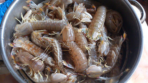 清蒸皮皮虾的做法大全【图】_清蒸皮皮虾的家