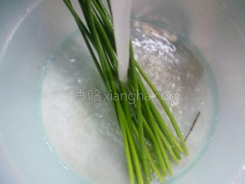 韭菜花炒脆皮肠的做法大全【图】_韭菜花炒脆