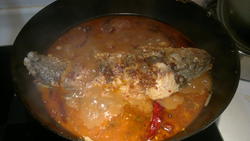 MjUweDA
