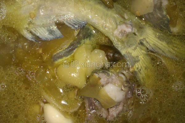 酸菜泡椒黄辣丁的做法大全【图】_酸菜泡椒黄