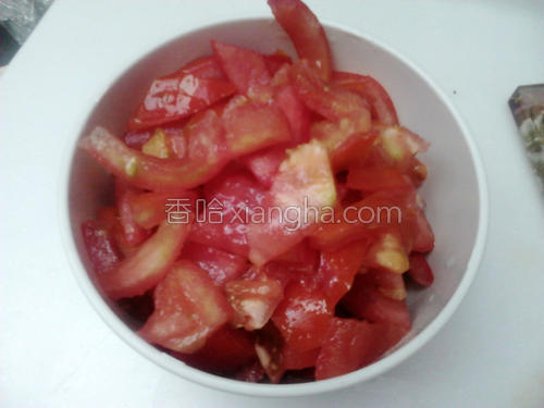 番茄红萝卜炖猪肉的做法大全【图】_番茄红萝