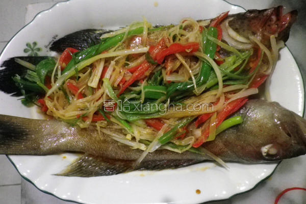 清蒸小石斑鱼的做法_清蒸小石斑鱼的做法大全