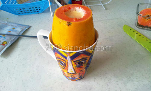 木瓜牛奶布丁的做法大全【图】_木瓜牛奶布丁