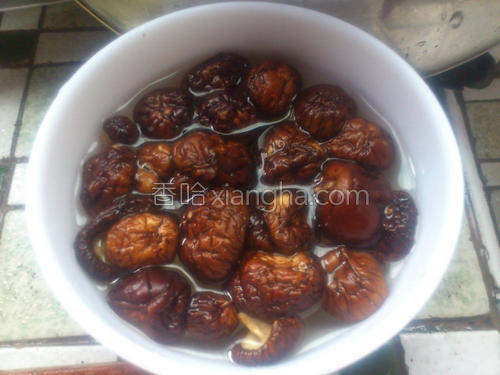 青木瓜排骨煲汤的做法大全【图】_青木瓜排骨