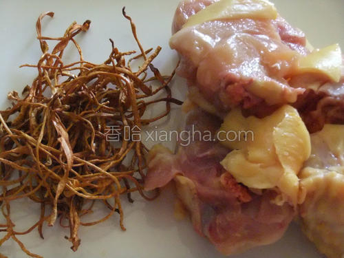虫草菇鲜鸡汤的做法大全【图】_虫草菇鲜鸡汤