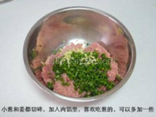猪肉大葱包子的做法大全【图】_猪肉大葱包子