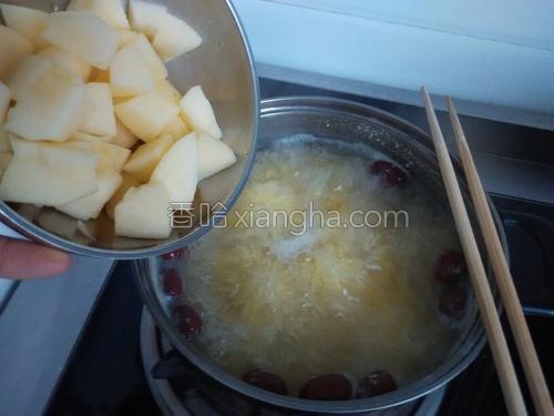 小米红枣苹果粥的做法大全【图】_小米红枣苹