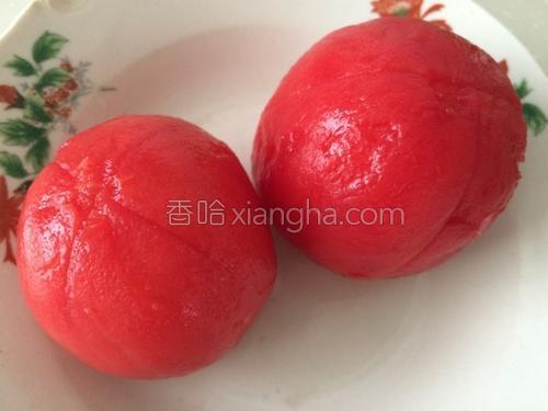 西红柿鸡蛋馅饺子的做法大全【图】_西红柿鸡