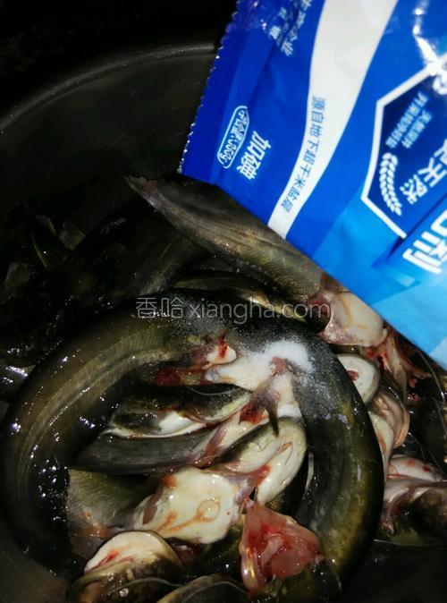 香辣黄辣丁的做法大全【图】_香辣黄辣丁的家