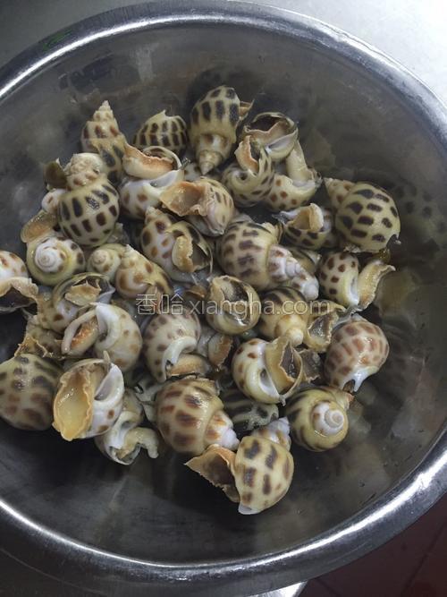 辣酒煮花螺的做法大全【图】_辣酒煮花螺的家