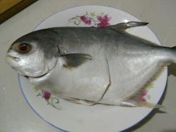 ͼ1