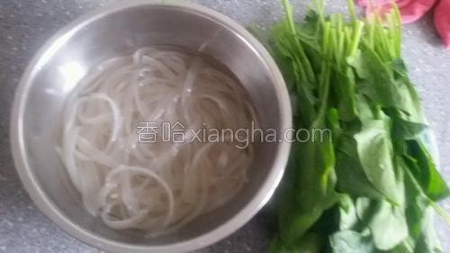 菠菜炒宽粉条的做法大全【图】_菠菜炒宽粉条
