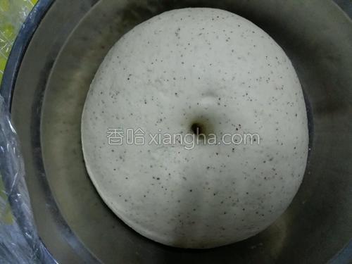 红枣燕麦牛奶馒头的做法大全【图】_红枣燕麦