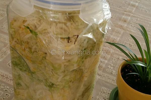 腌酸菜的做法_腌酸菜的做法大全_腌酸菜的家
