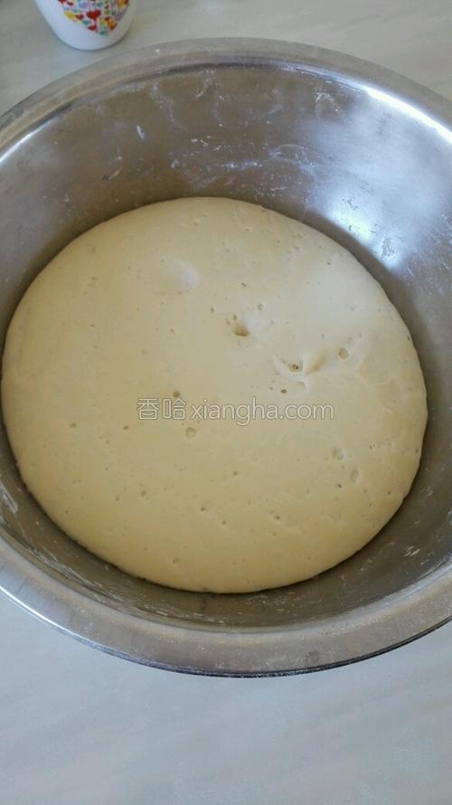 白菜素包子的做法大全【图】_白菜素包子的家