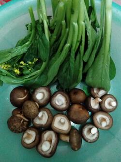 【图】如何做香菇瘦肉粥 香菇瘦肉粥最正宗的