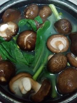 【图】如何做香菇瘦肉粥 香菇瘦肉粥最正宗的