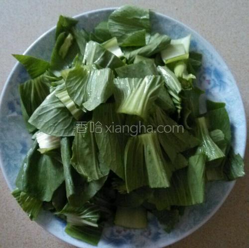 青菜焖饭的做法大全【图】_青菜焖饭的家常做