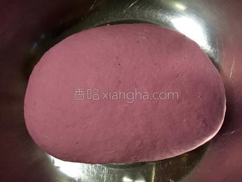 火龙果皮火腿卷的做法大全【图】_火龙果皮火