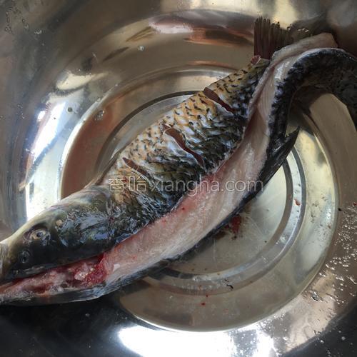 烤箱烤鱼的做法大全【图】_烤箱烤鱼的家常做