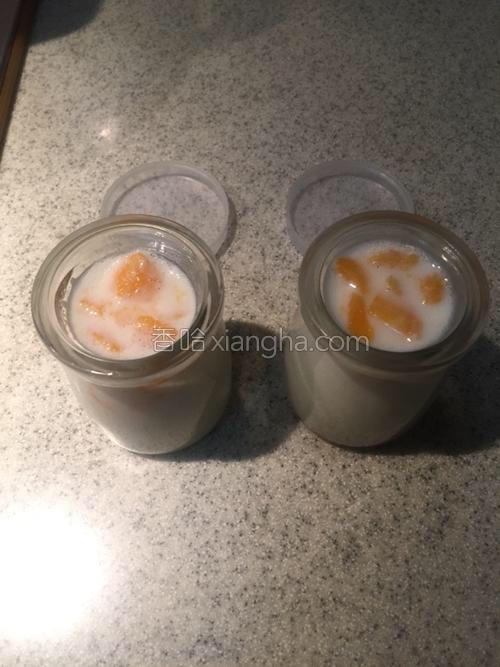 牛奶芒果冻的做法大全【图】_牛奶芒果冻的家