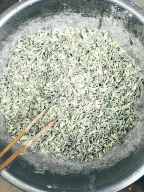 蒸洋槐花的做法大全