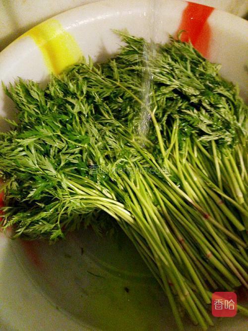 凉拌川芎叶