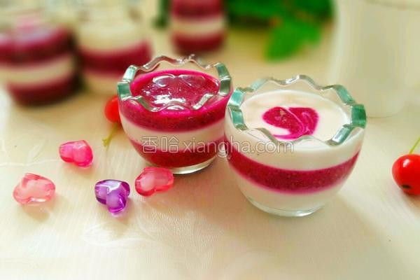 火龙果酸奶冻的做法_火龙果酸奶冻的做法大全