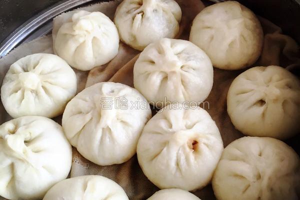 茴香小肉包的做法_茴香小肉包的做法大全_茴