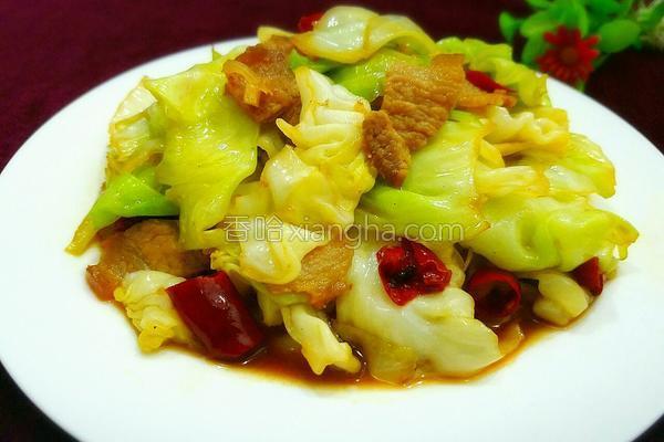 卷心菜炒肉的做法_卷心菜炒肉的做法大全_卷心菜炒肉的家常做法怎么做好吃 - 香哈网